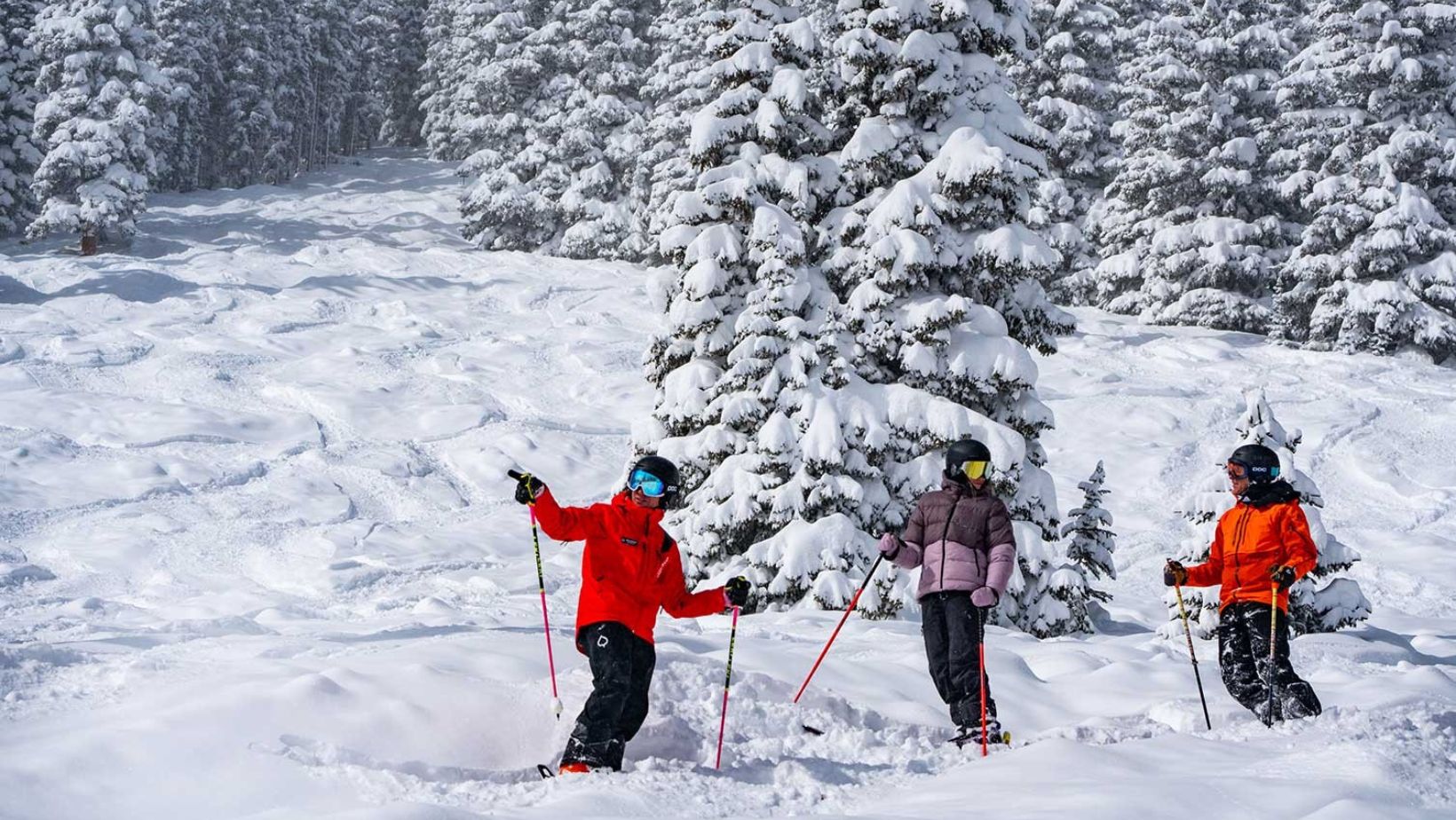 Beginner Skiing Tips Basic Guide For Newbie Skiers The Sports House