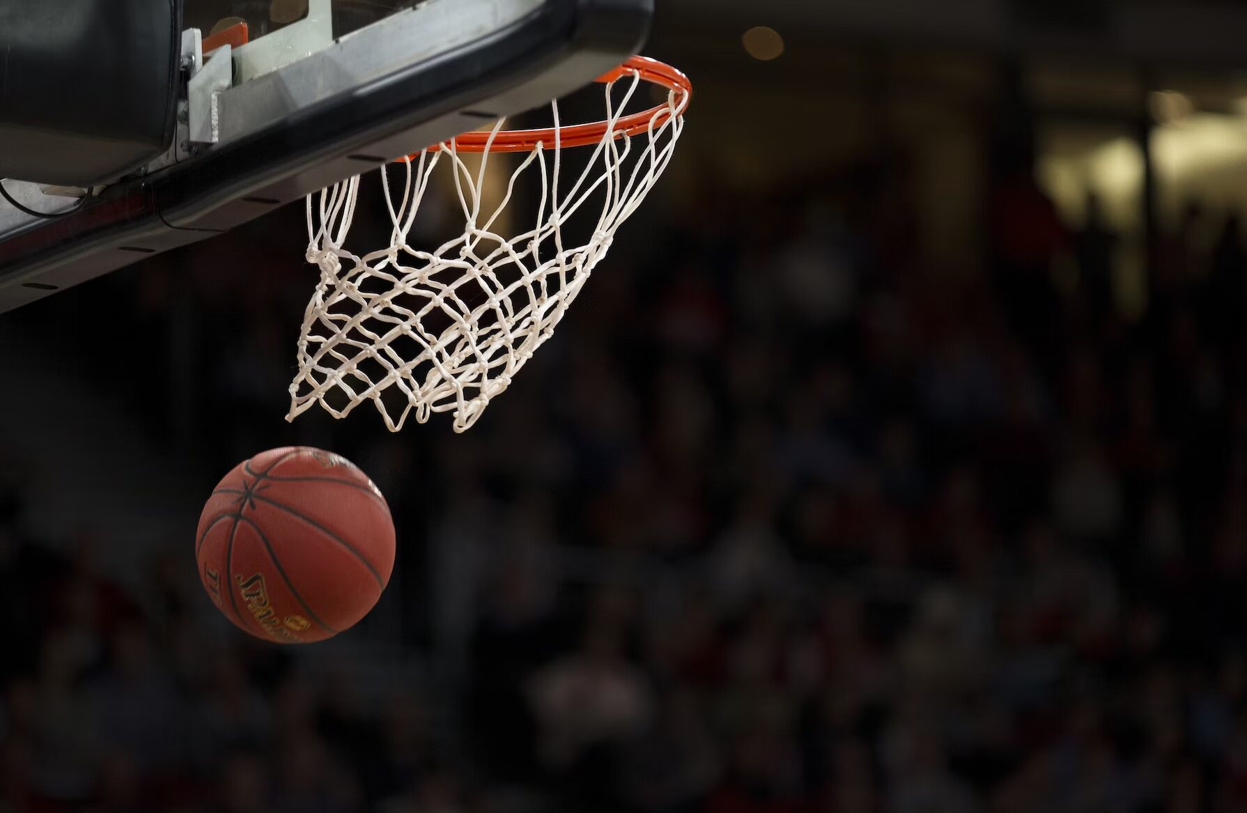 Analyzing Gender Disparities In College Basketball The Sports House 